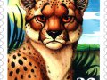 syn-Cheetahchar.jpg